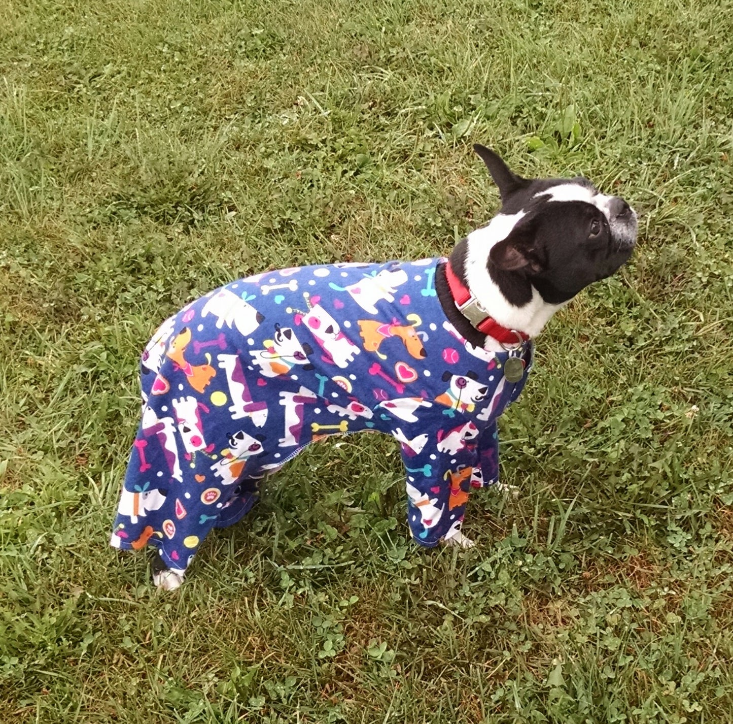 Cozy Dog Jammies