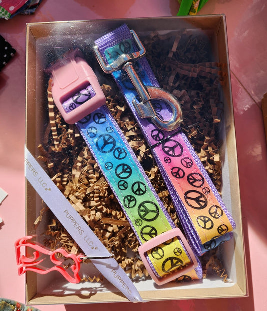 Leash & Collar Set
