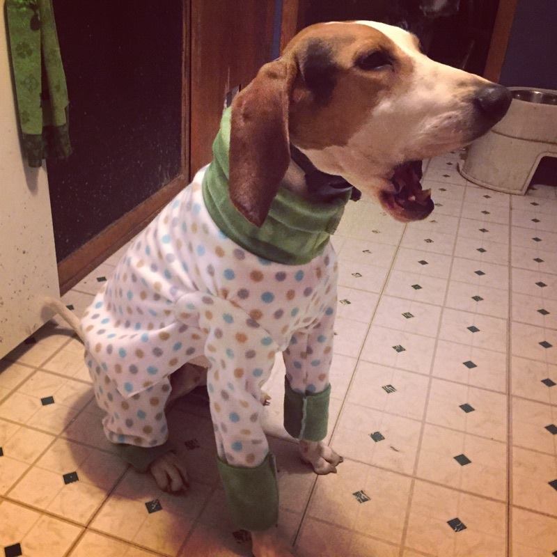 Cozy Dog Jammies